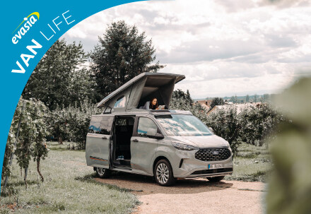 4 seater van rental